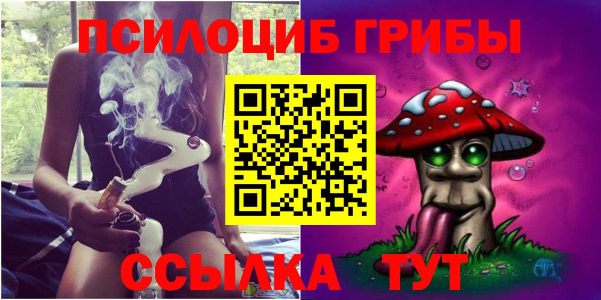 Псилоцибиновые грибы Magic Shrooms  где продают   Железногорск  Галлюциногенные грибы Psilocybine cubensis  Вход с VPN 